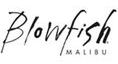 Blowfish Blowfish