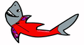 Smiling Shark Smiling Shark