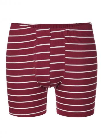 Трусы боксеры