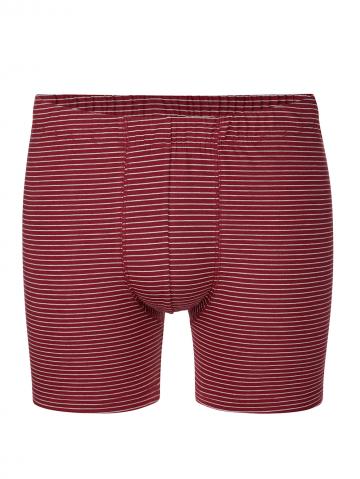 Трусы боксеры