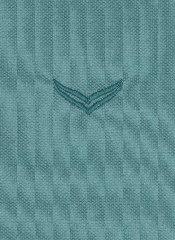 Футболка поло