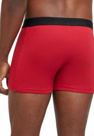 Подштанники