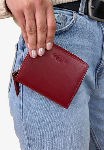 Папка для документов