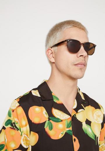 Солнечные очки