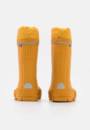 Резиновые сапоги