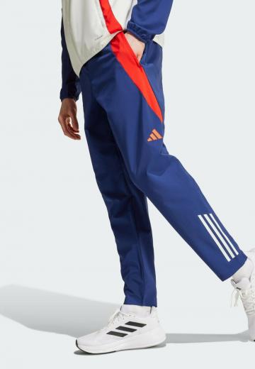 Спортивные штаны