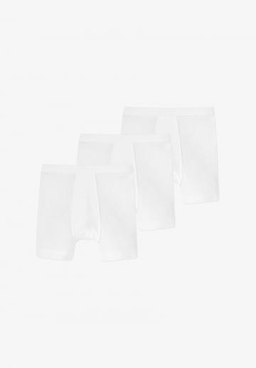 Подштанники