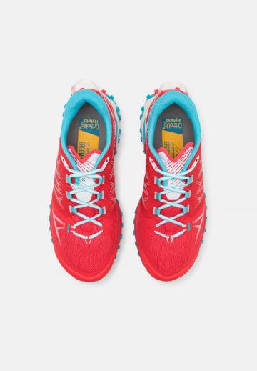 Походные ботинки