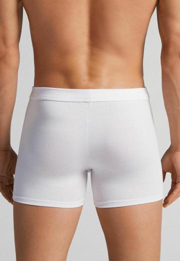 Подштанники