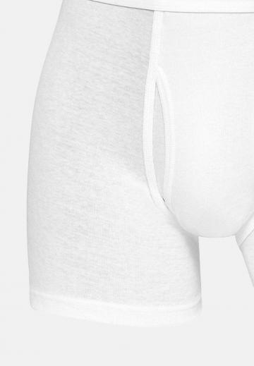 Подштанники