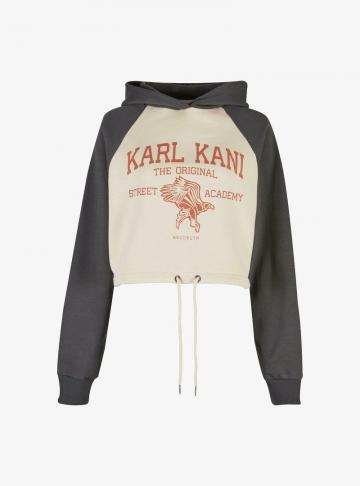 Пуловер с капюшоном