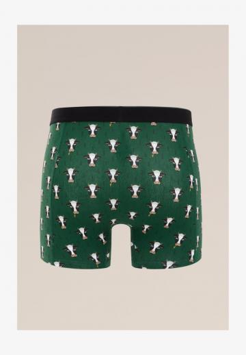 Трусы-боксеры