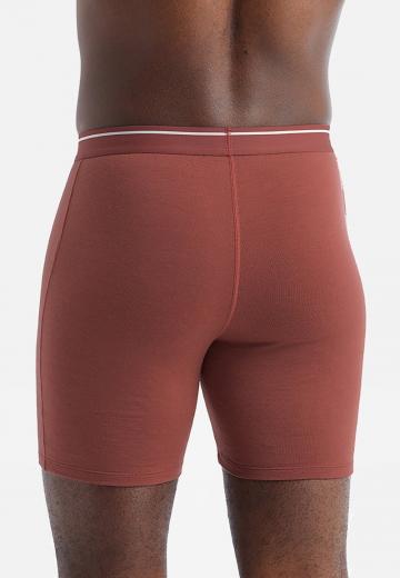 Подштанники