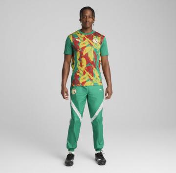 Спортивные штаны