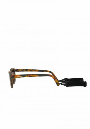 Солнечные очки