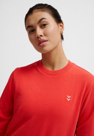 Спортивная толстовка