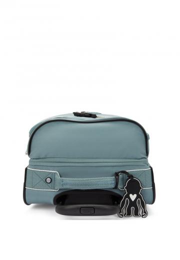 Чемодан на колесах