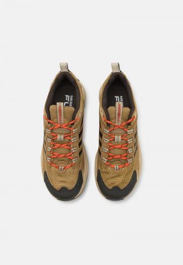 Походные кроссовки