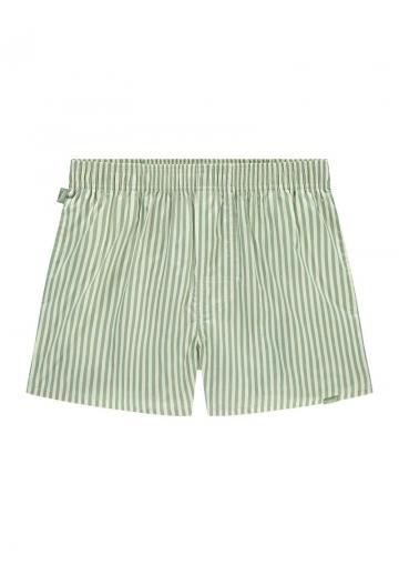 Трусы-боксеры