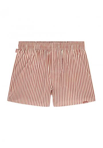 Трусы-боксеры