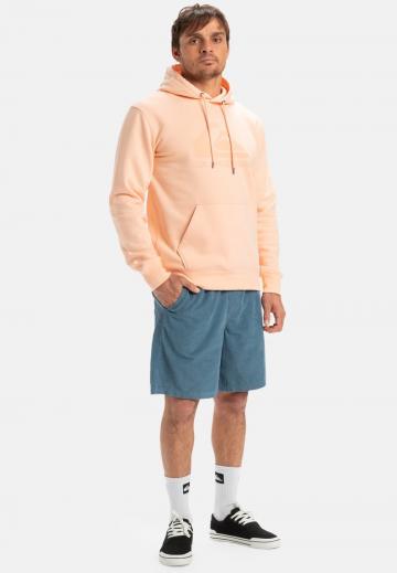 Спортивныве шорты