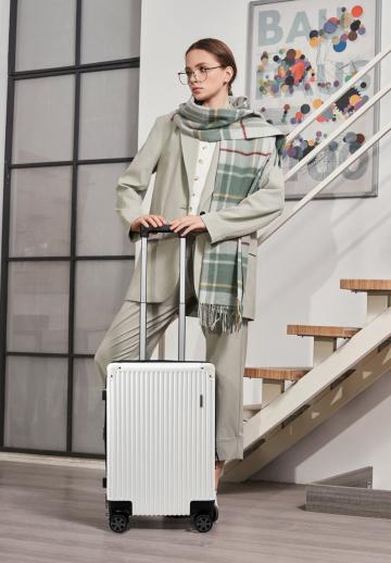 Чемодан на колесах