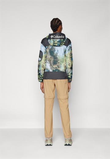 Спортивные штаны