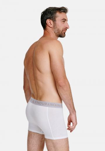 Подштанники