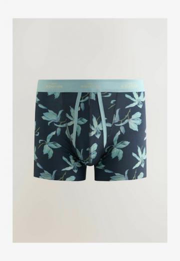 Подштанники