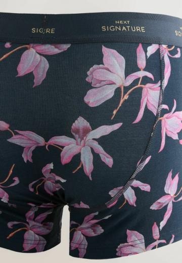 Подштанники