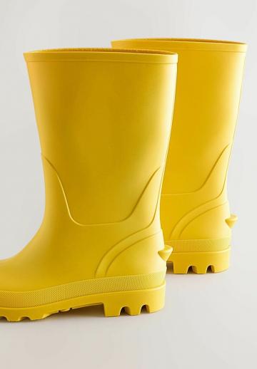 Резиновые сапоги