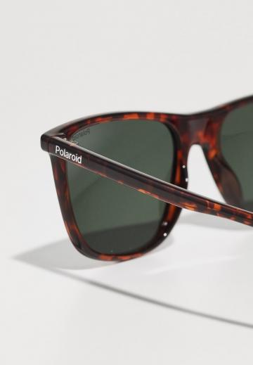 Солнечные очки