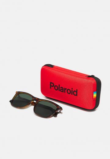 Солнечные очки