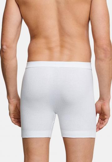 Подштанники