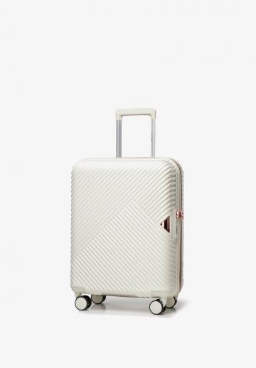 Чемодан на колесах