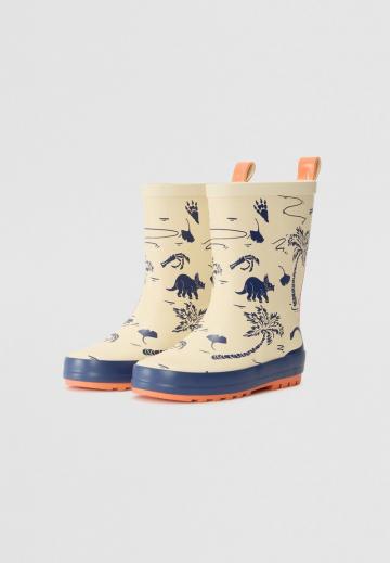 Резиновые сапоги