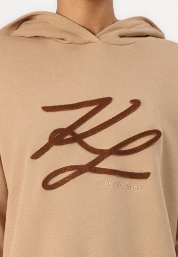 Пуловер с капюшоном