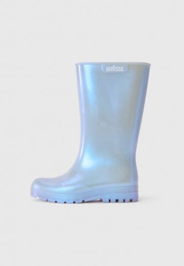 Резиновые сапоги