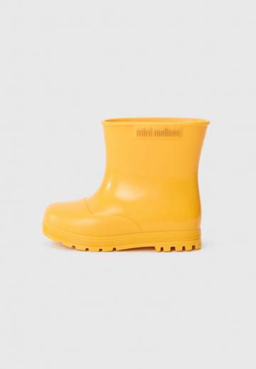 Резиновые сапоги