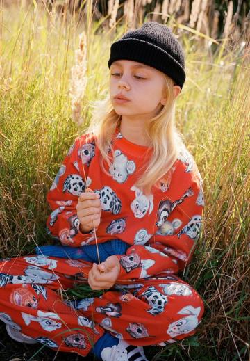 Спортивные штаны