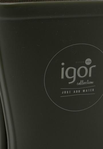 Резиновые сапоги