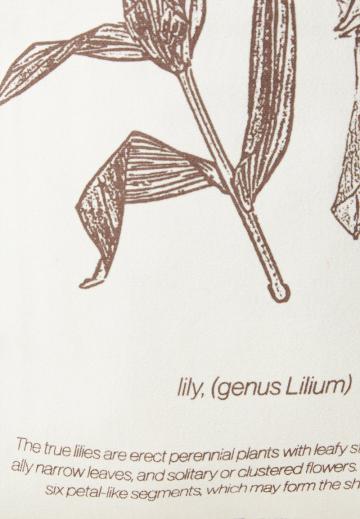 Пляжная сумка