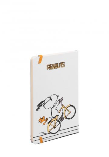 Папка для документов