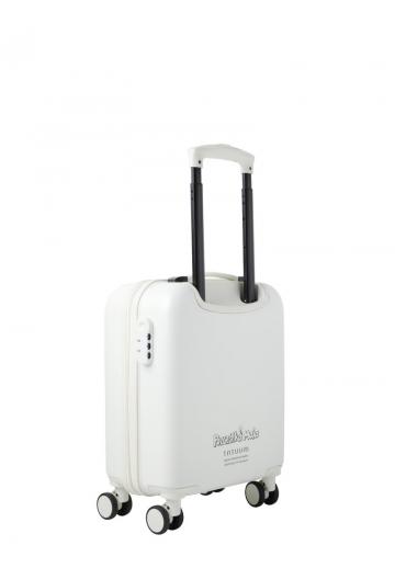 Чемодан на колесах