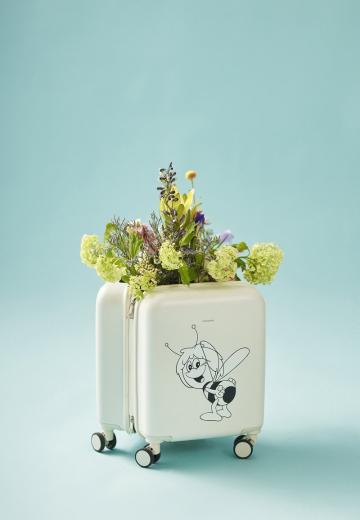 Чемодан на колесах