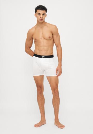 Подштанники