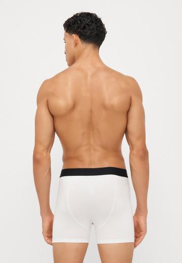 Подштанники