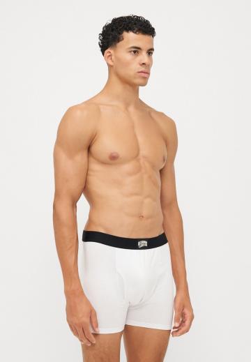 Подштанники