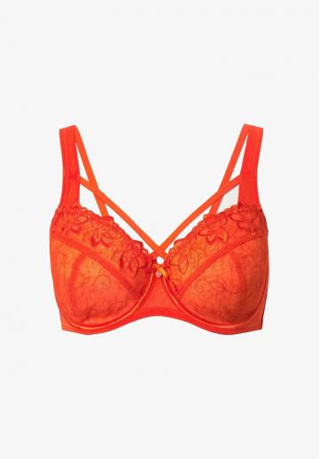 Бюстгальтер