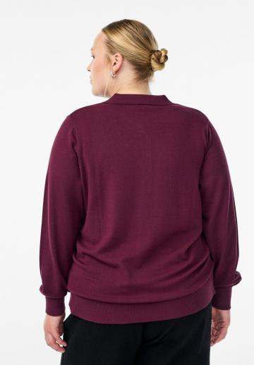 Пуловер с воротником поло